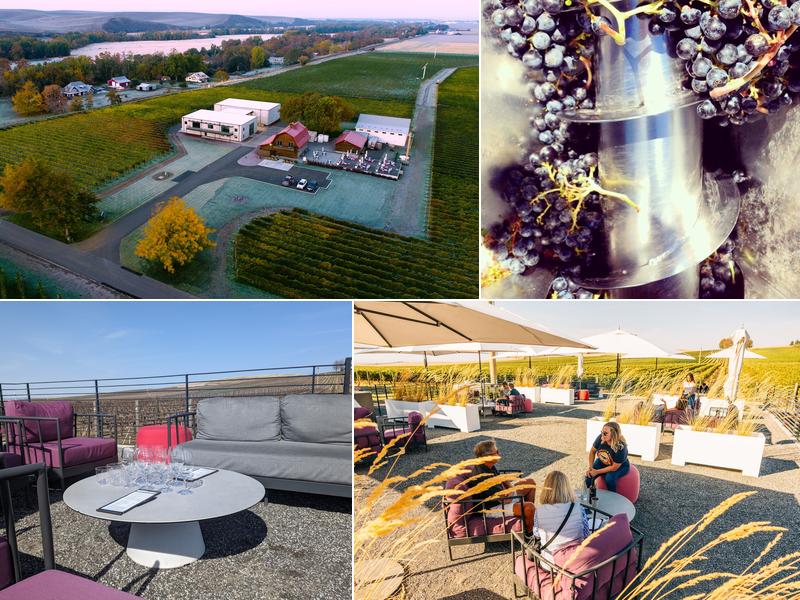 Walla Walla Vintners