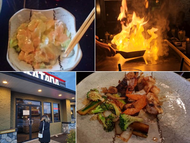 Katana 19957 Willowbrook Dr, Langley