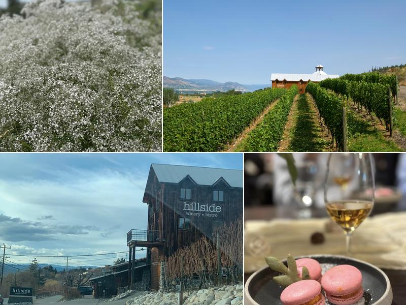 Hillside Winery 1350 Naramata Rd, Penticton