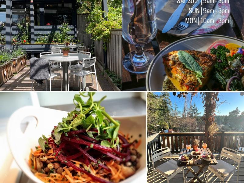 Charlotte & the Quail