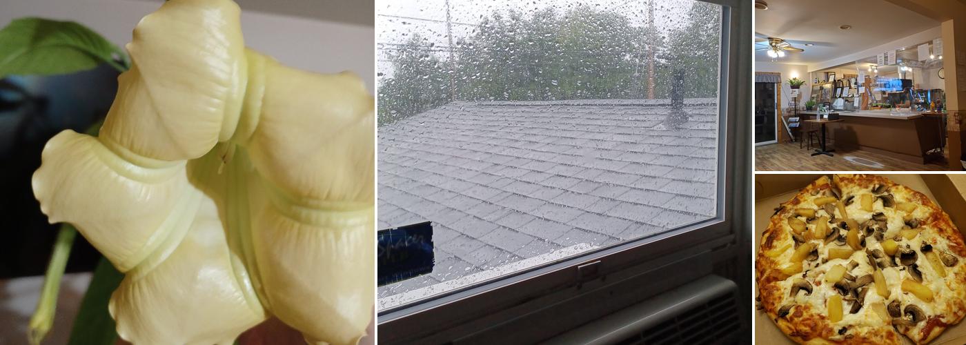 The Lequille Pizza Shop