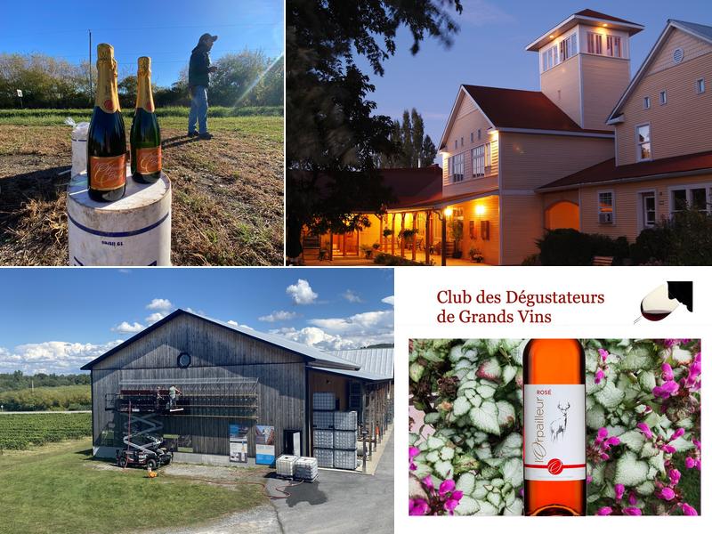 Vignoble de l’Orpailleur