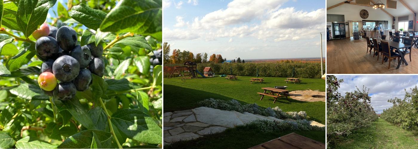 Les Vergers Ivanhoë Faille