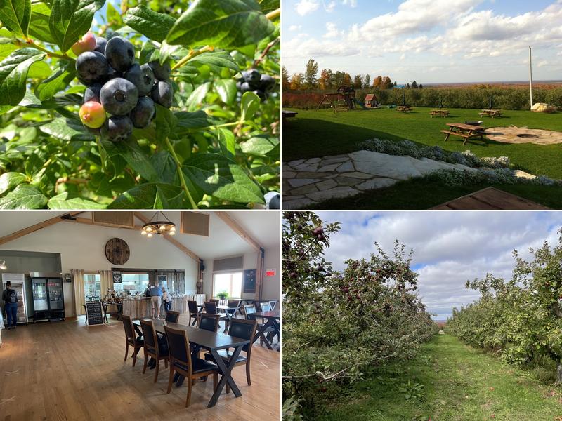 Les Vergers Ivanhoë Faille