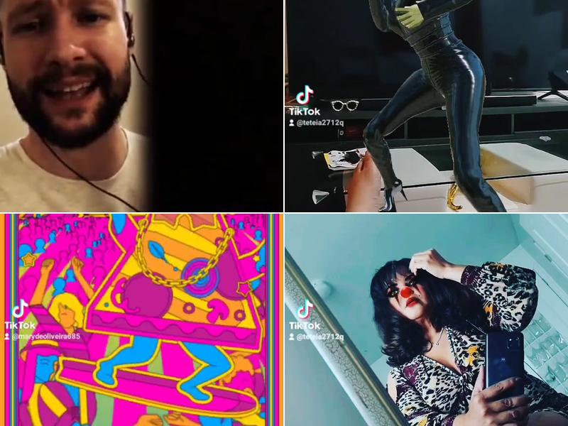 Maplewood Aesthetics