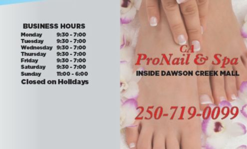 PRO NAIL SPA 11000 8th St, Dawson Creek British Columbia V1G 3L8