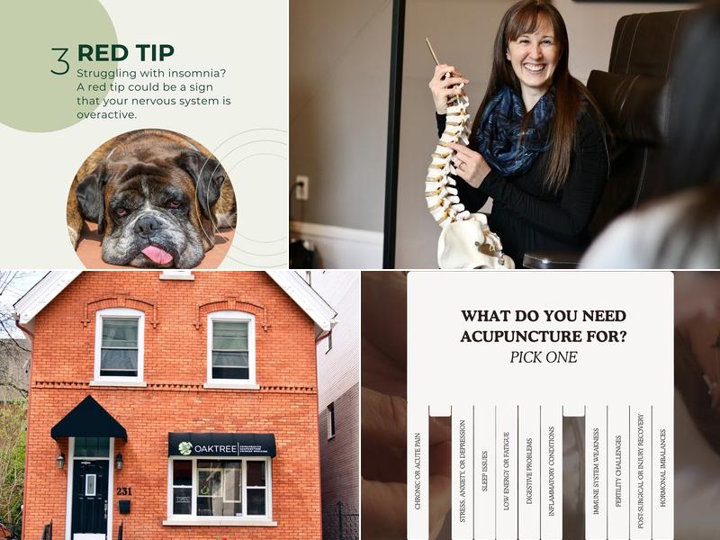 Oaktree Chiropractic & Acupuncture