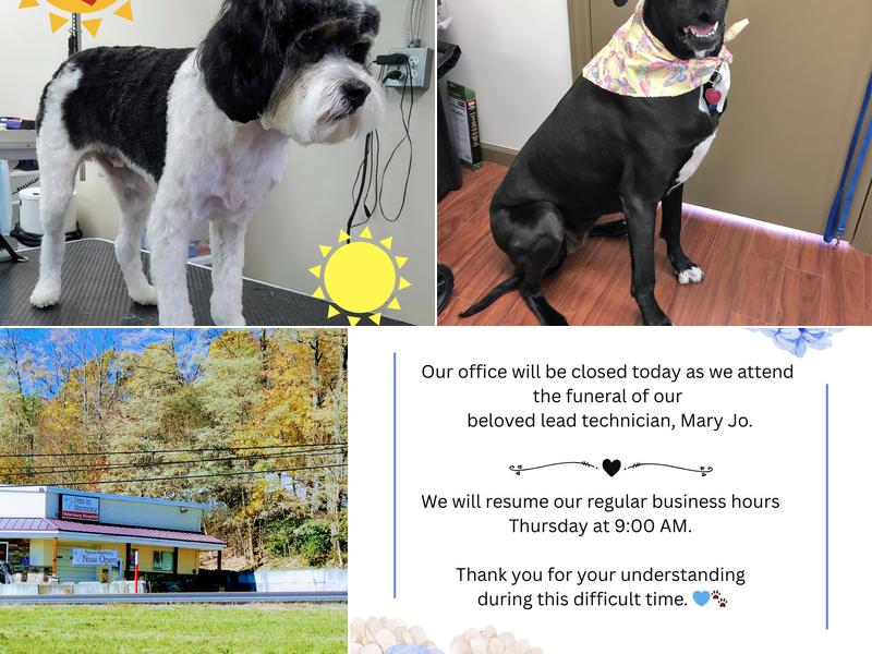 Pets in Harmony Pet Salon