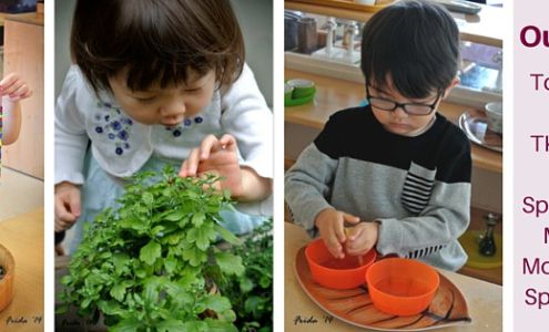 Fountainhead Montessori School of Danville