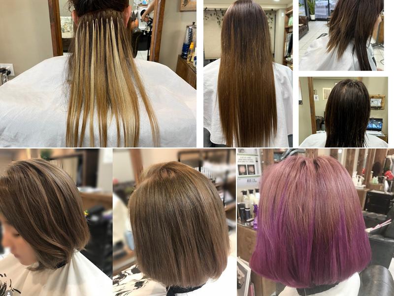 The Hair Salon Under the Rothem Tree