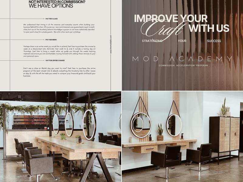 The Mod Labb Arlington