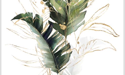 Paradise Skin & Body