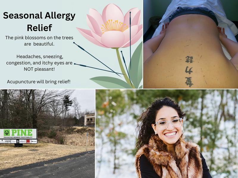 Silver Leaf Acupuncture