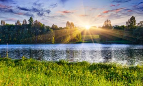 Flow Natural Health Care