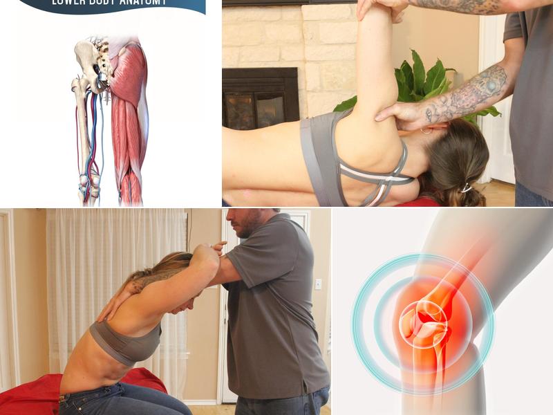 Better Body Dynamics LLC