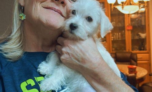 Bastron Chiropractic