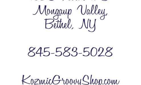 Janet's Kozmic Groovy Shop 1028 Route 17B / Woodstock Way, Mongaup Valley New York 12762