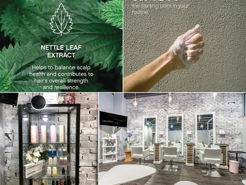 Breeze Day Spa at Agapanthus - Ocala