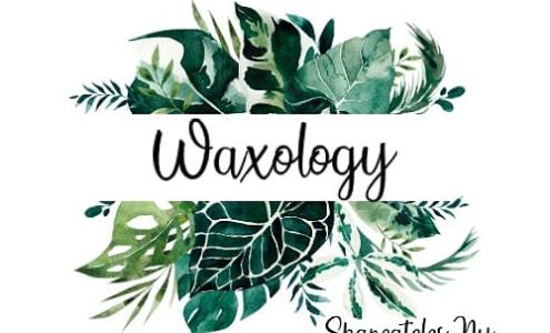 Waxology 19 Fennell St, Skaneateles New York 13152