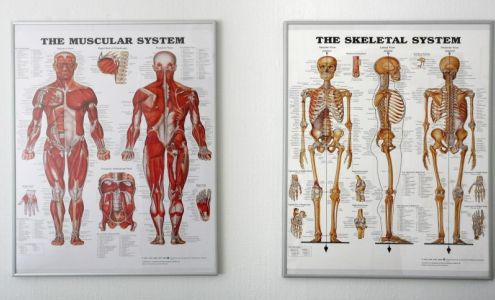 North Pole Chiropractic 3375 Badger Rd Ste 5, North Pole Alaska 99705