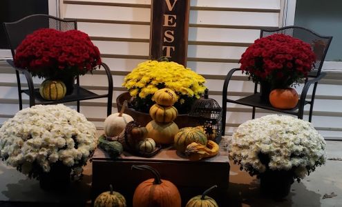 Naomi's Salon and Spa