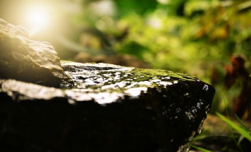 Sierra Mind-Body Wellness