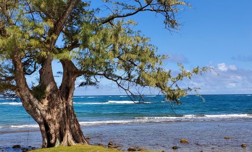 North Shore Sports Therapy 68-139 Au St, Waialua Hawaii 96791