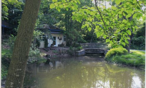 Victoria J. Taylor - Licensed Acupuncturist