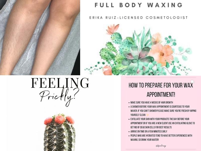 Prickly Peach Wax Bar