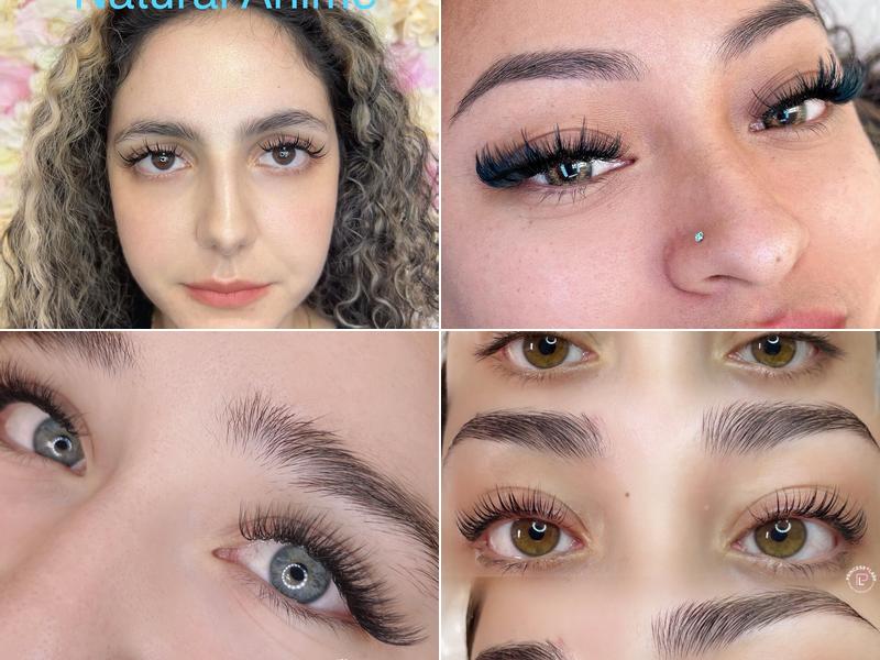 Princess Lash Walnut Location