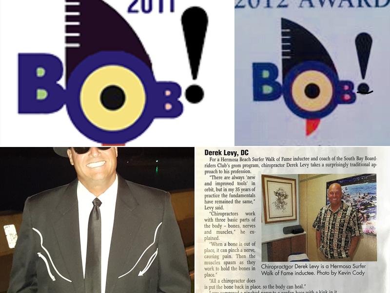 Dr. Derek V Levy, DC