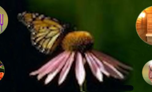 Distinct Touch The Bodywork Center Inc.