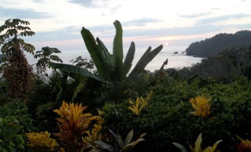 Alfred R. Sherry, R.N, DC DABCO