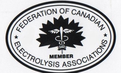 Bedford Electrolysis