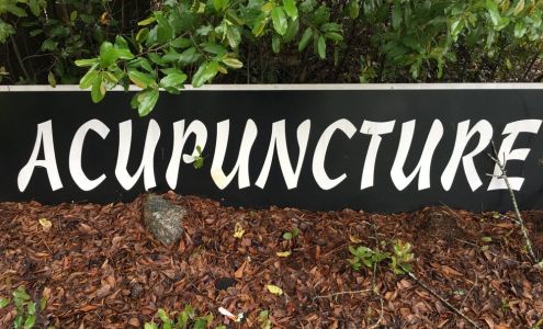 Acupuncture For Southern Livng