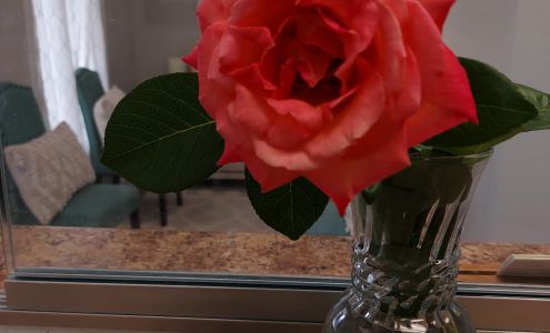 Vitality Acupuncture LLC