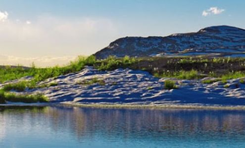 True Resilience Integrative Medical Solutions