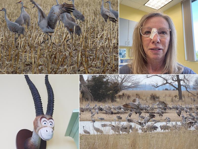 Alaska Center for Dermatology