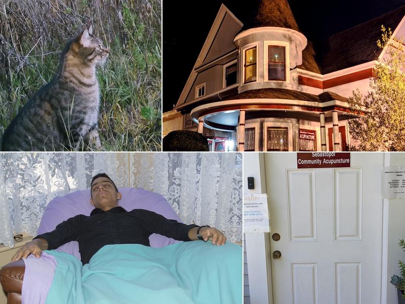 Sebastopol Community Acupuncture