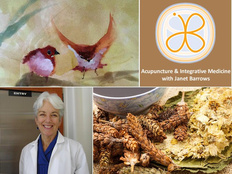 Janet Barrows Acupuncture & Integrative Medicine