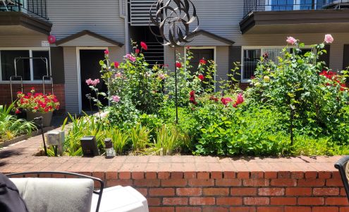 TrueNorth Health Center