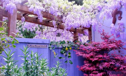 Laurie Counihan-Childs