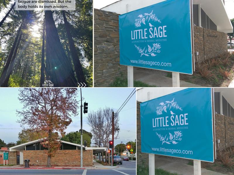 Little Sage Acupuncture & Herbal Medicine