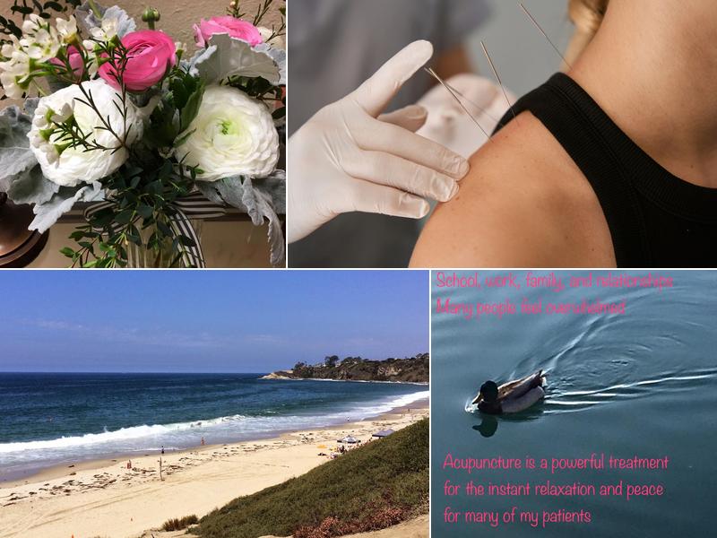 Asia America Acupuncture & Herb Institute, Inc