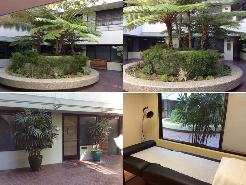 Chia Acupuncture, Herbology and Wellness