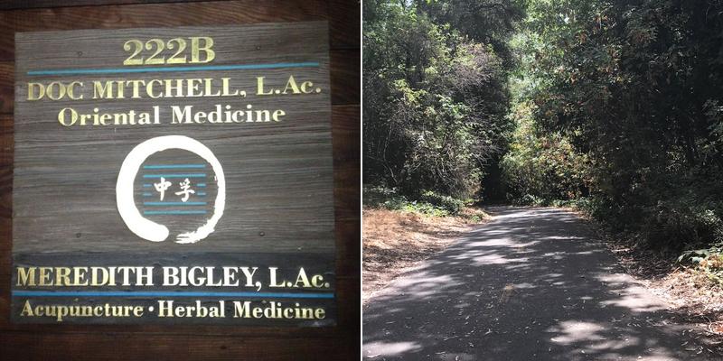 Meredith Bigley Acupuncture