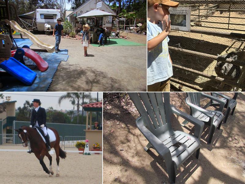 Mega Arte Riding Academy