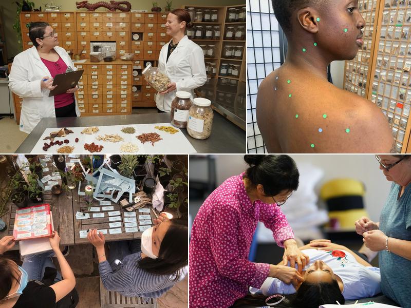 Acupuncture & Integrative Medicine College