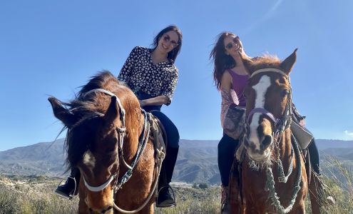 Saddle Up Wine Tours 44060 White Mountain Rd, Aguanga California 92536