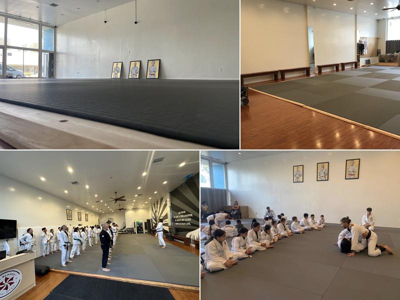 Six Blades JiuJitsu / Artemis Academy